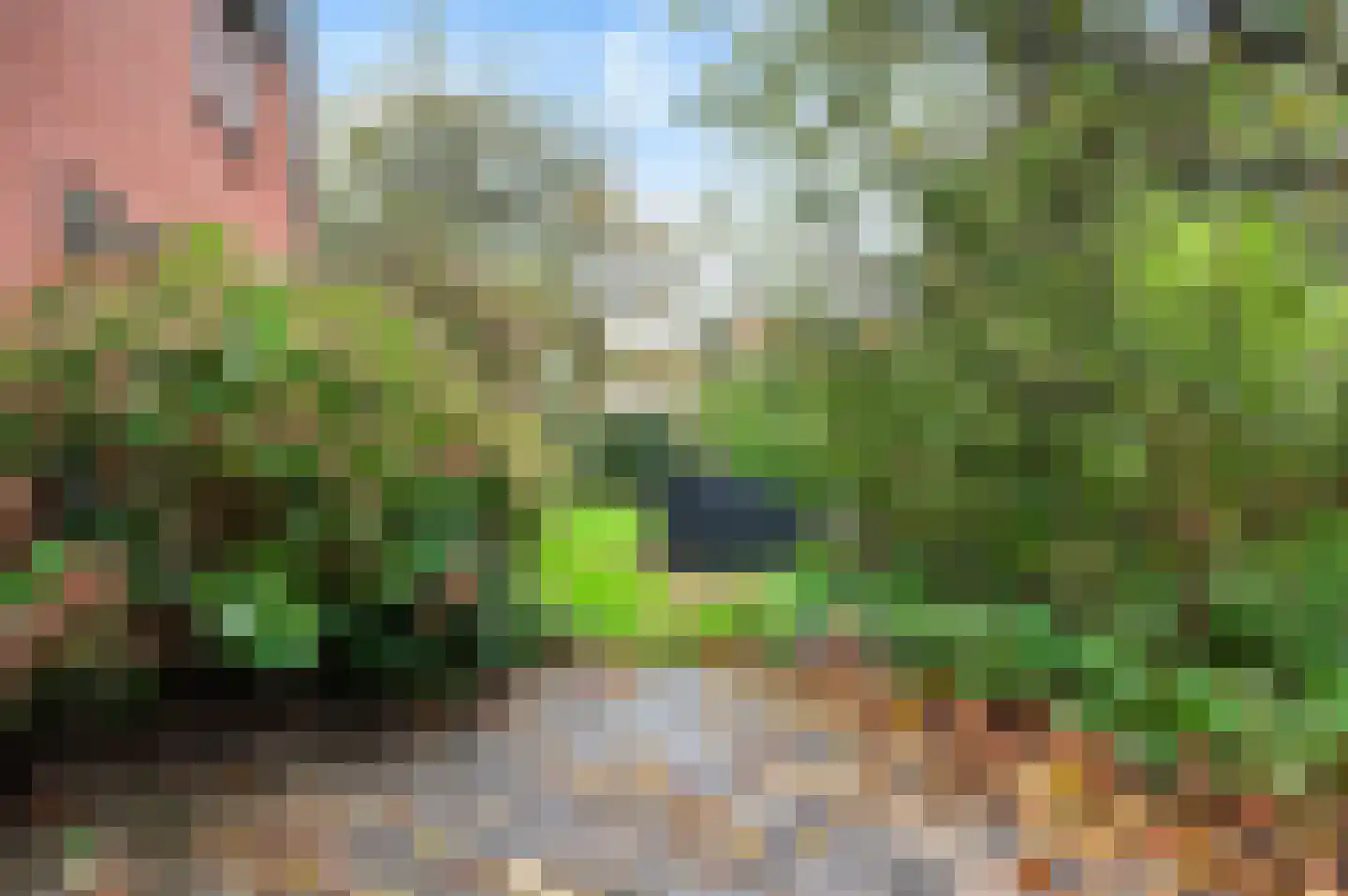 Borculoseweg 4 Diepenheim thumbnail 8