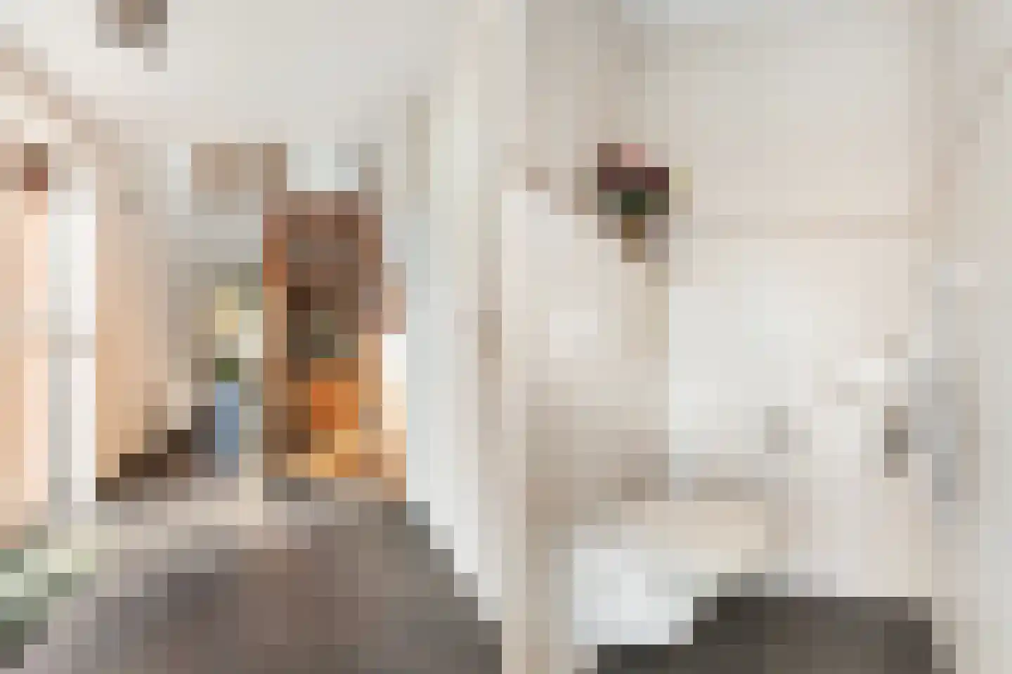 Borculoseweg 4 Diepenheim thumbnail 9