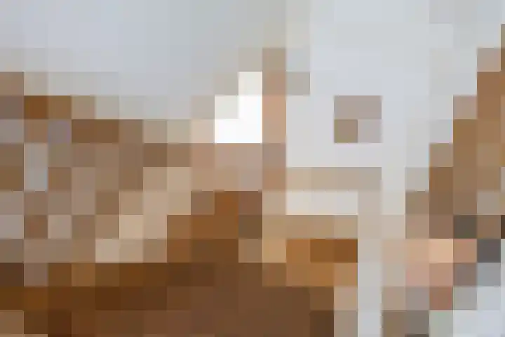 Borculoseweg 46 Ruurlo thumbnail 21
