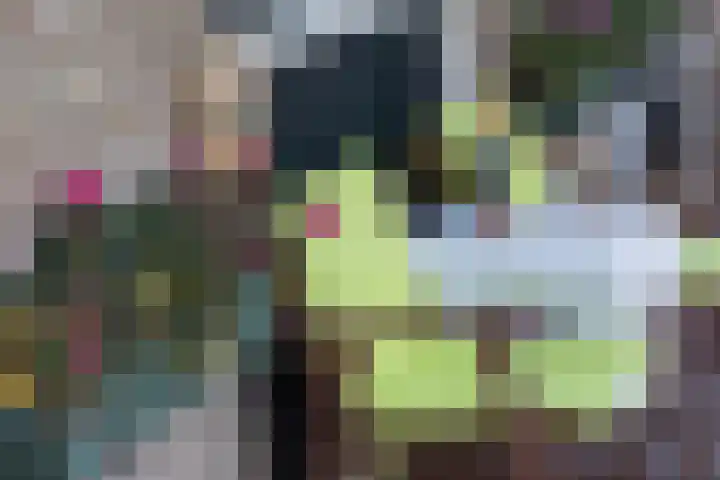 Borculoseweg 46 Ruurlo thumbnail 27