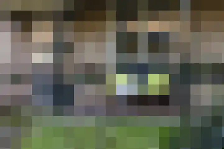 Borculoseweg 46 Ruurlo thumbnail 30