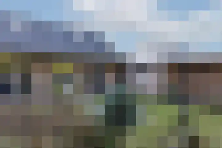 Borculoseweg 46 Ruurlo thumbnail 34
