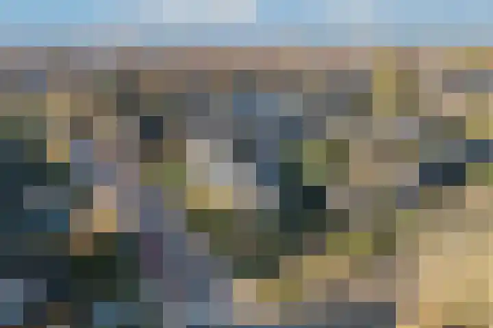Borculoseweg 46 Ruurlo thumbnail 43