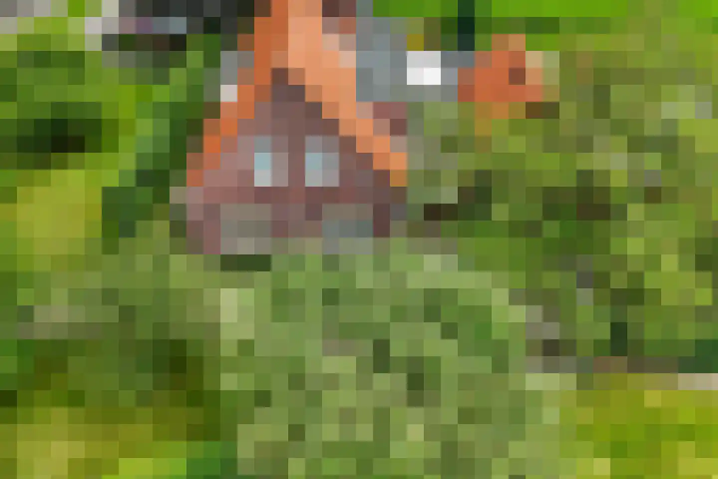 Borculoseweg 49 Eibergen thumbnail 32