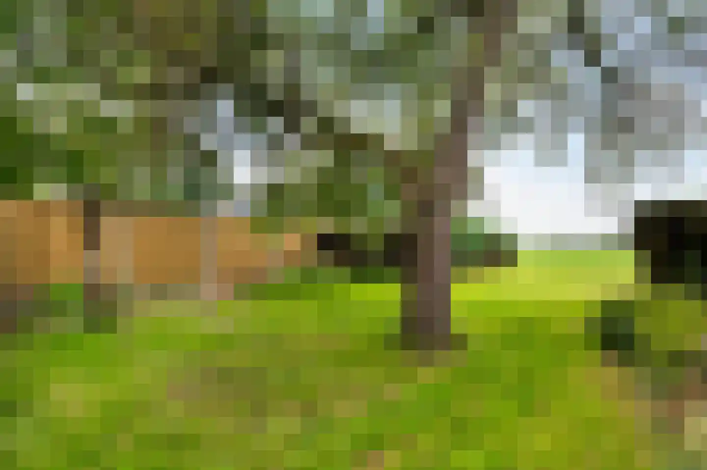 Borculoseweg 49 Eibergen thumbnail 4