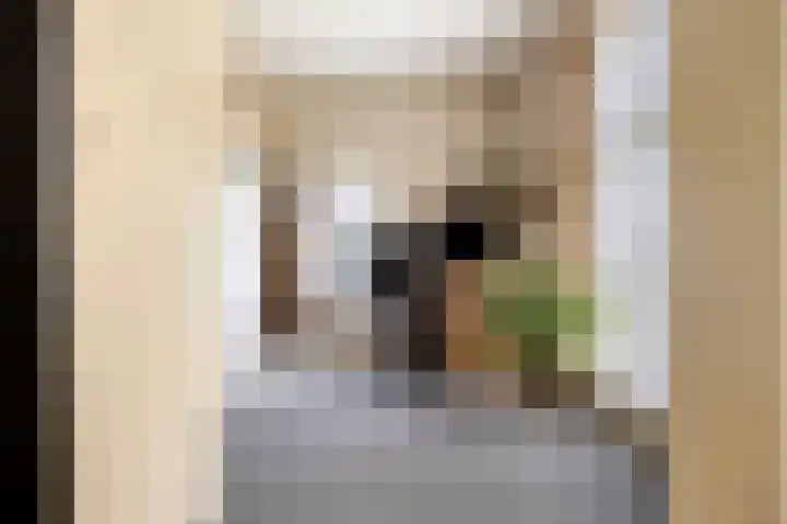 Borculoseweg 5 Haarlo thumbnail 20