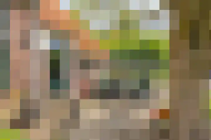 Borculoseweg 5 Haarlo thumbnail 35