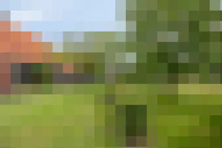 Borculoseweg 5 Haarlo thumbnail 36