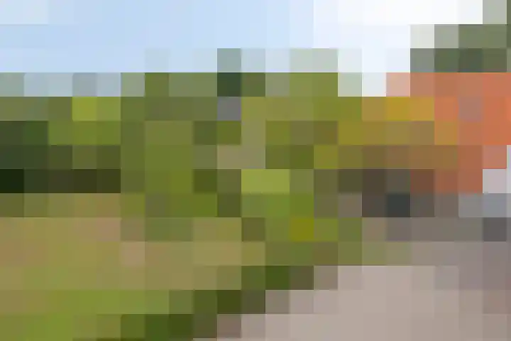 Borculoseweg 5 Haarlo thumbnail 41