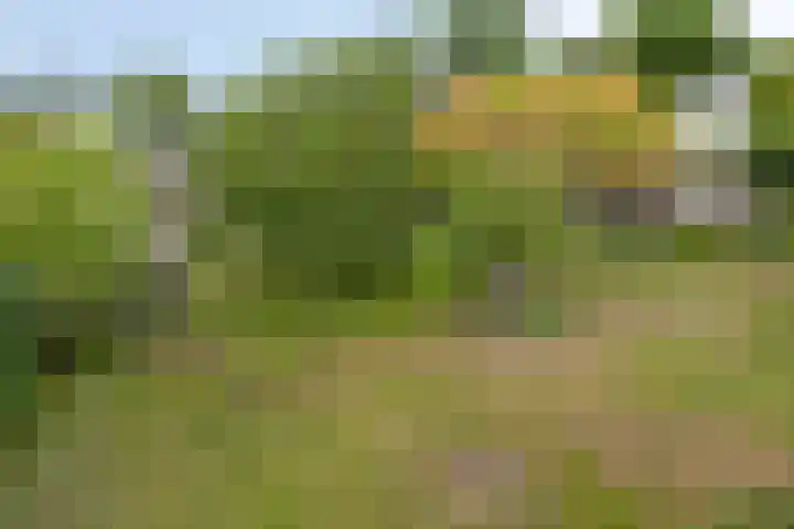 Borculoseweg 5 Haarlo thumbnail 42