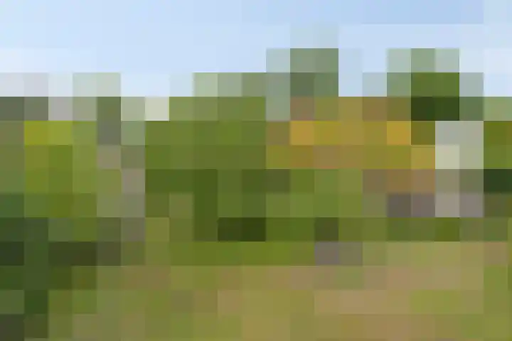 Borculoseweg 5 Haarlo thumbnail 43