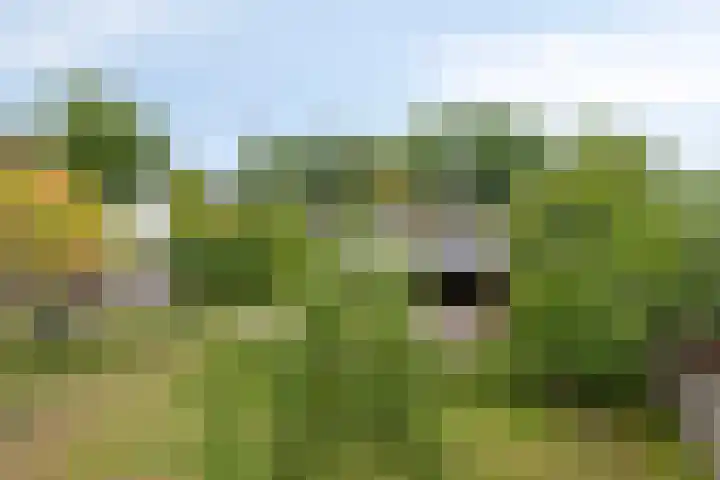 Borculoseweg 5 Haarlo thumbnail 44