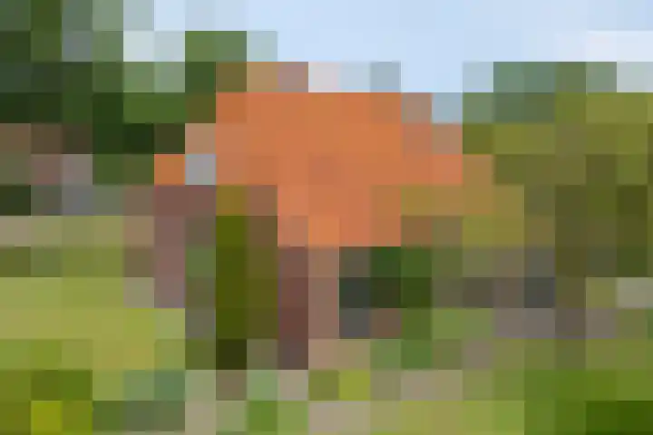 Borculoseweg 5 Haarlo thumbnail 45