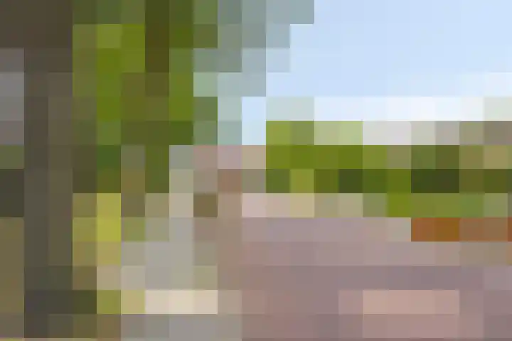 Borculoseweg 5 Haarlo thumbnail 49