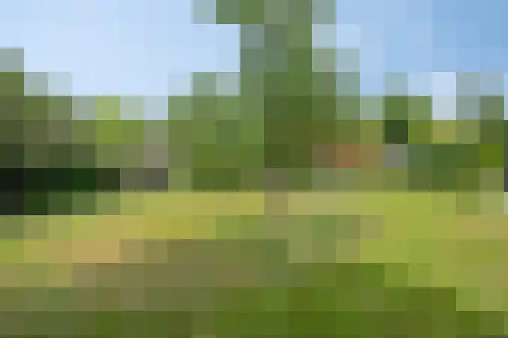 Borculoseweg 5 Haarlo thumbnail 5