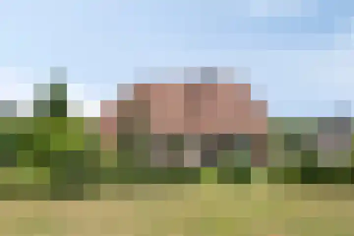 Borculoseweg 5 Haarlo thumbnail 8