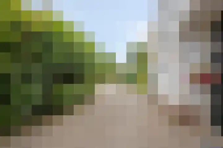 Borculoseweg 5 Haarlo thumbnail 9