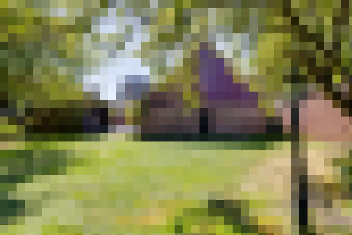 Borculoseweg 50 Groenlo thumbnail 67