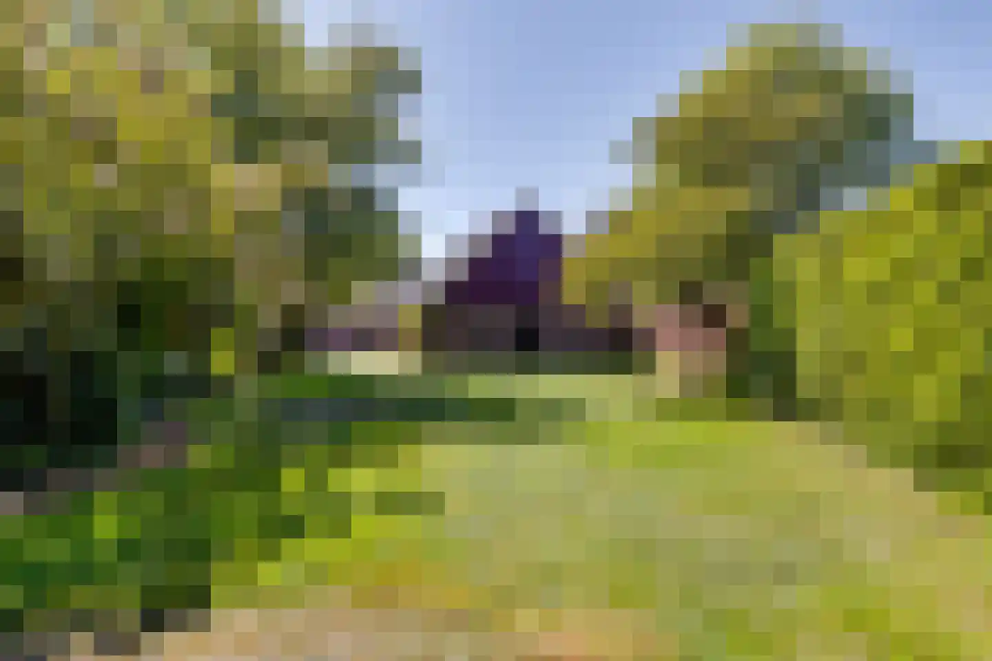 Borculoseweg 50 Groenlo thumbnail 68