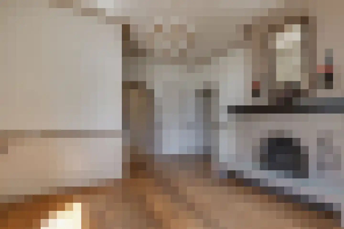 Borculoseweg 50 Groenlo thumbnail 7