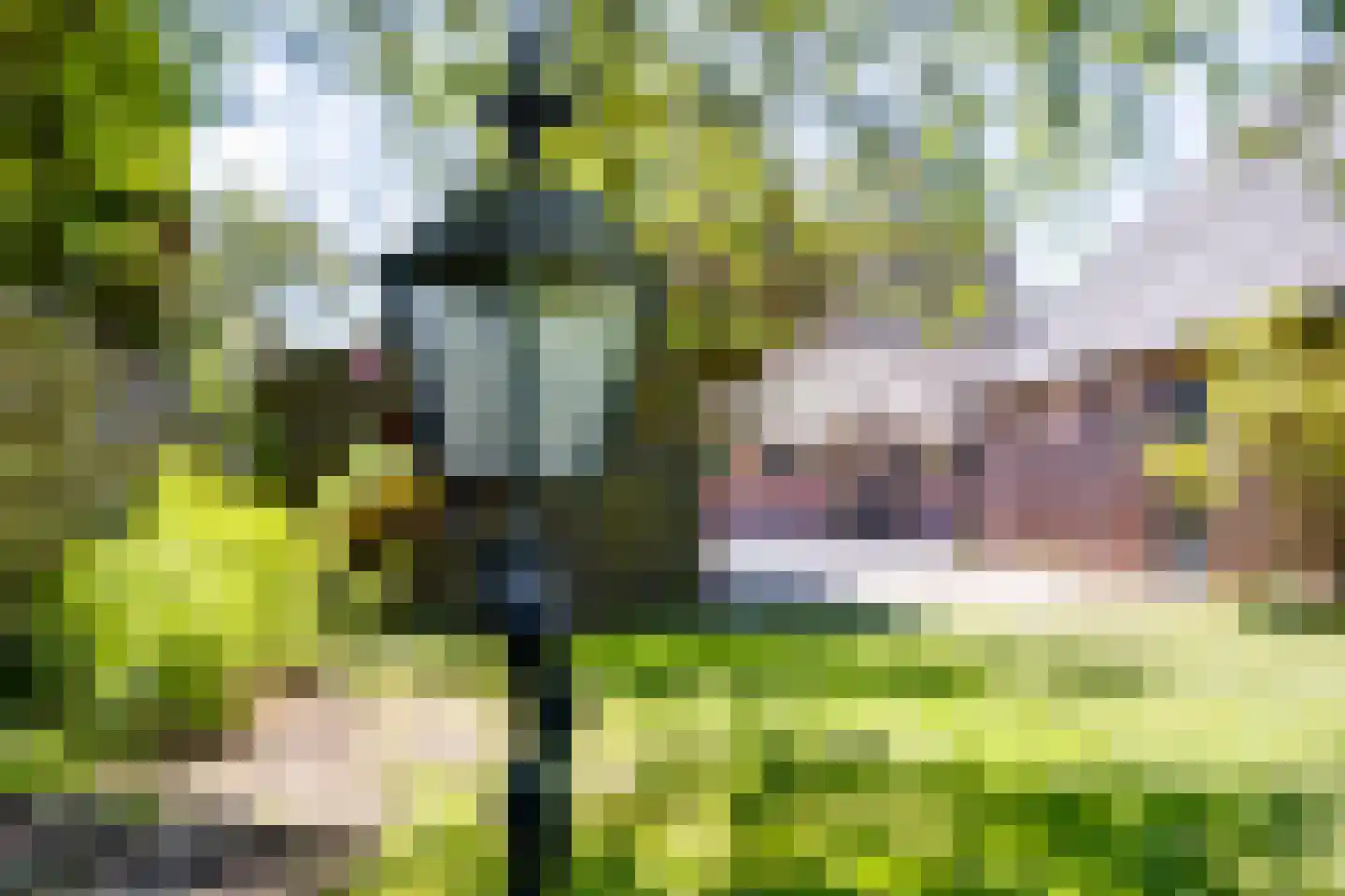 Borculoseweg 50 Groenlo thumbnail 70