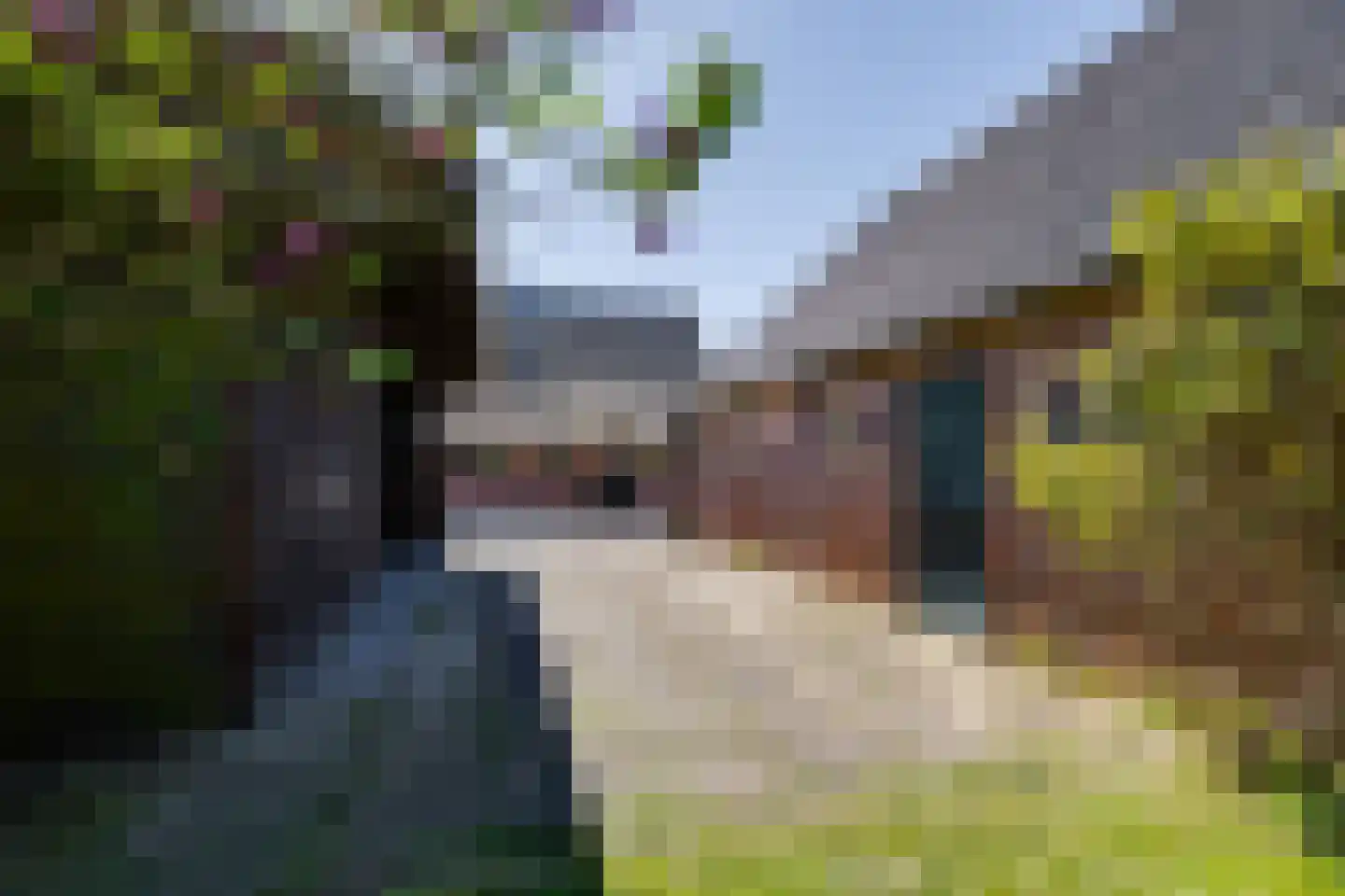 Borculoseweg 50 Groenlo thumbnail 71