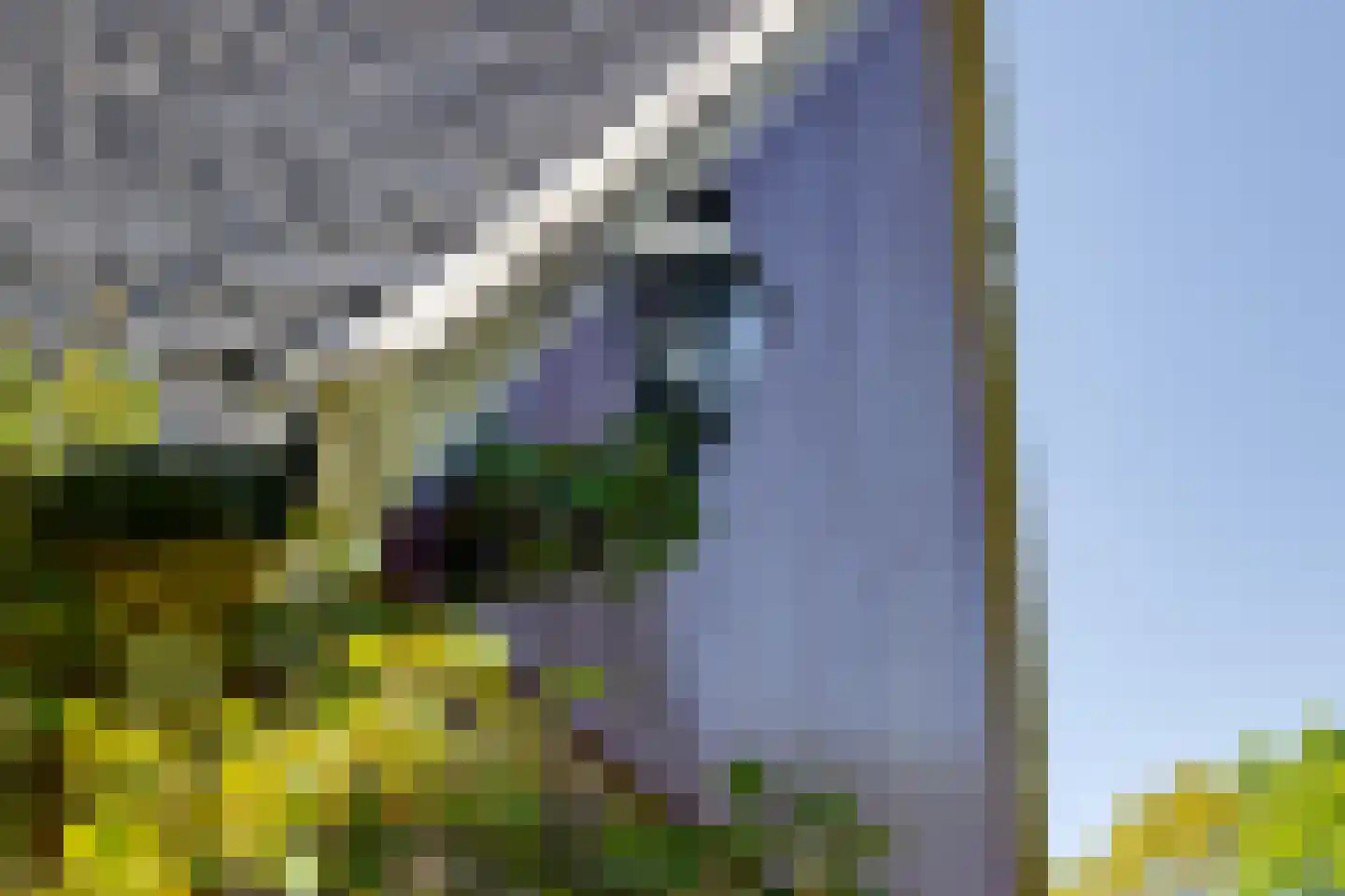 Borculoseweg 50 Groenlo thumbnail 72