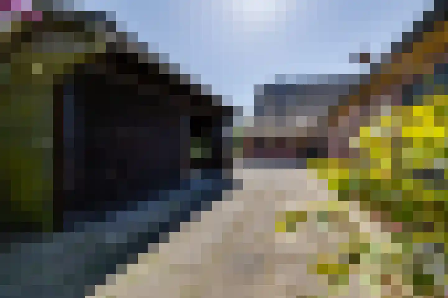 Borculoseweg 50 Groenlo thumbnail 73