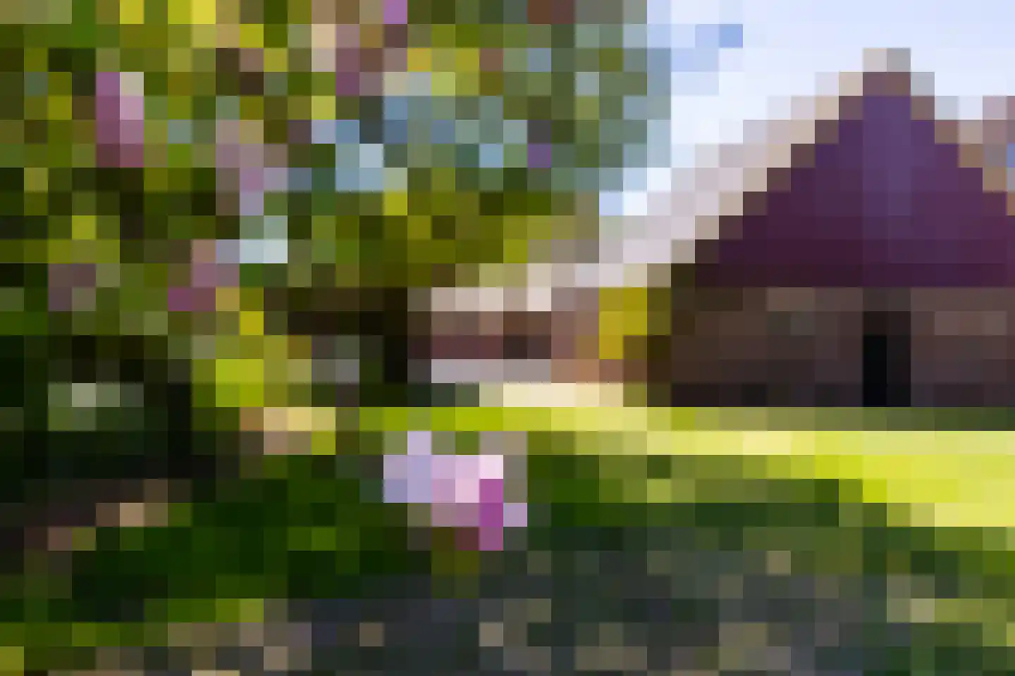 Borculoseweg 50 Groenlo thumbnail 74