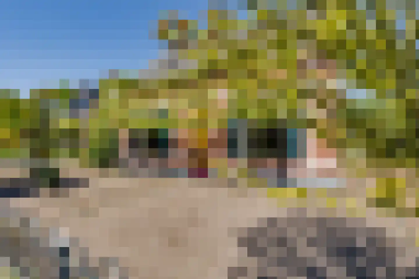 Borculoseweg 50 Groenlo thumbnail 76