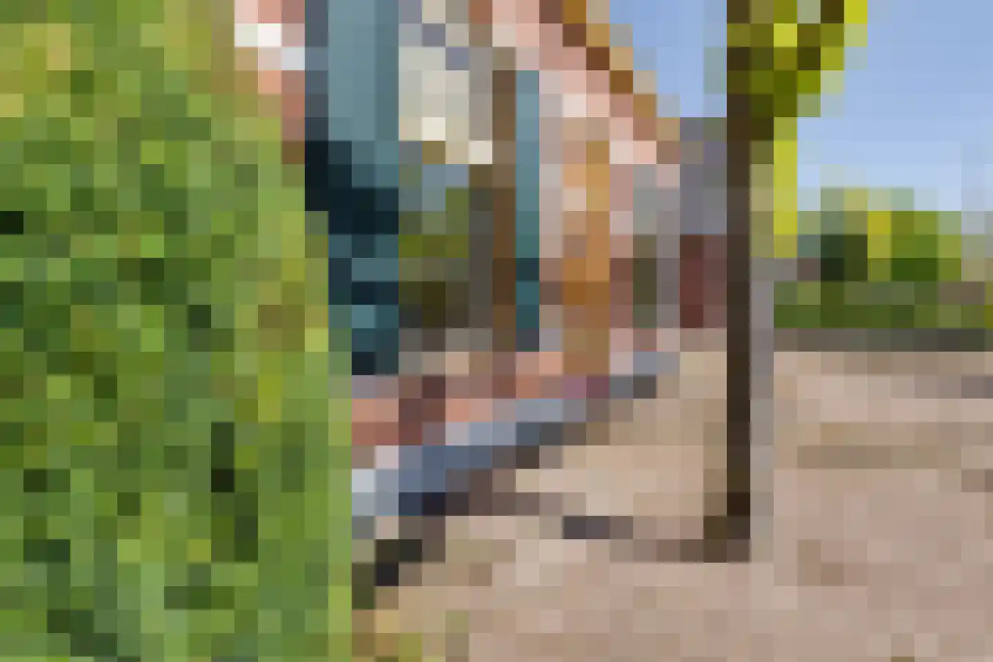 Borculoseweg 50 Groenlo thumbnail 85