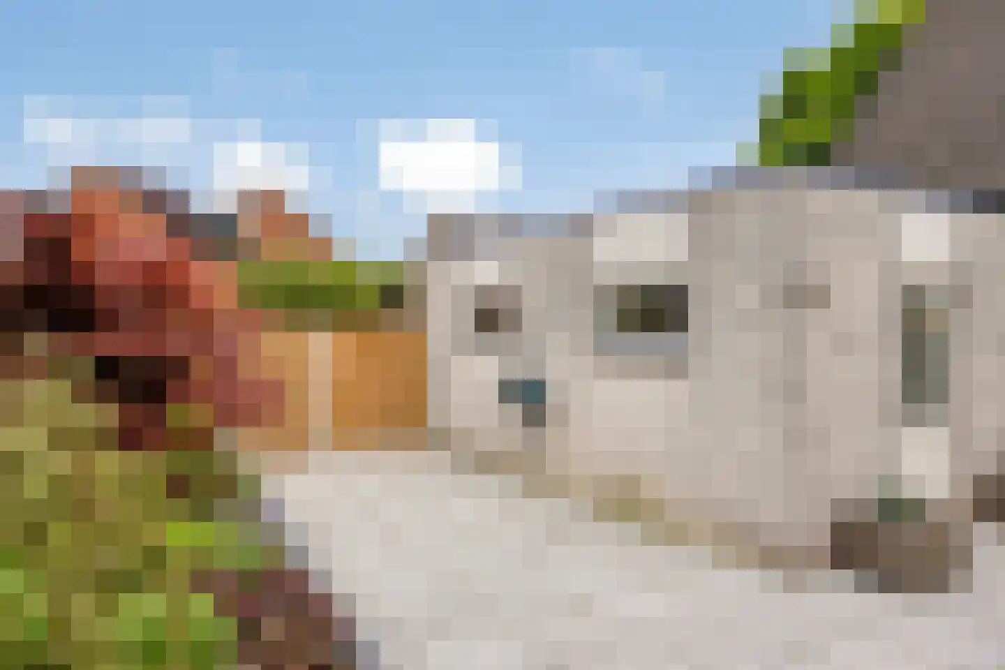 Borculoseweg 6 Diepenheim thumbnail 24