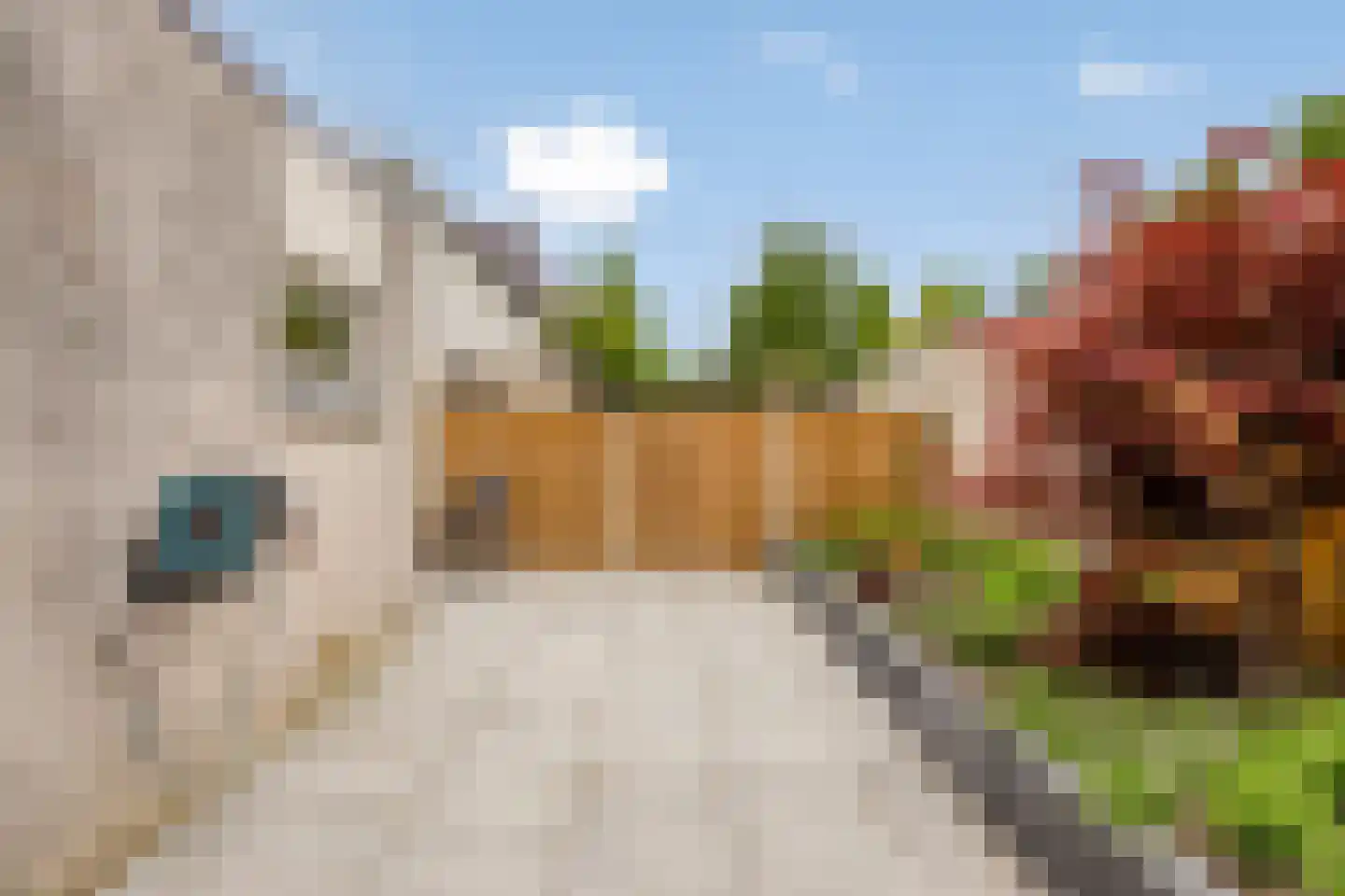Borculoseweg 6 Diepenheim thumbnail 26
