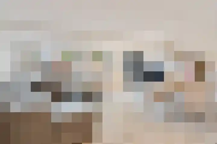 Bordeauxdreef 45 in Rotterdam