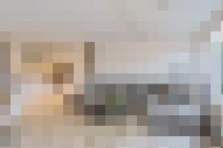 Bordeauxdreef 45 Rotterdam thumbnail 14