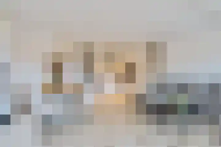 Bordeauxdreef 45 Rotterdam thumbnail 16