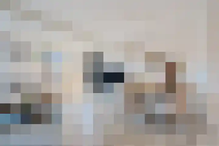 Bordeauxdreef 45 Rotterdam thumbnail 18