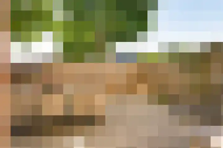 Bordeauxdreef 45 Rotterdam thumbnail 19