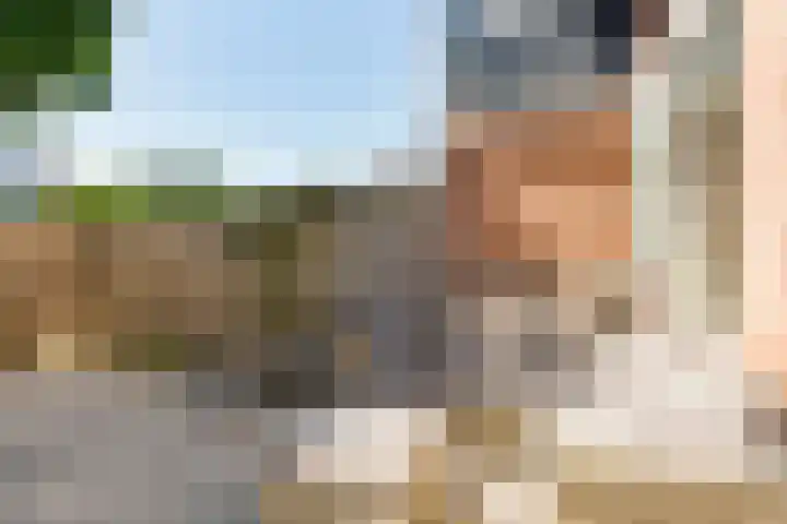 Bordeauxdreef 45 Rotterdam thumbnail 20