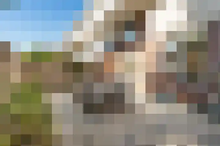 Bordeauxdreef 45 Rotterdam thumbnail 24