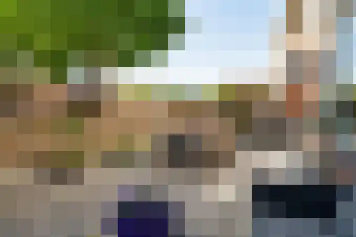 Bordeauxdreef 45 Rotterdam thumbnail 26
