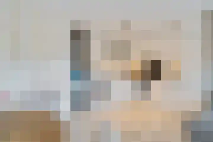 Bordeauxdreef 45 Rotterdam thumbnail 28