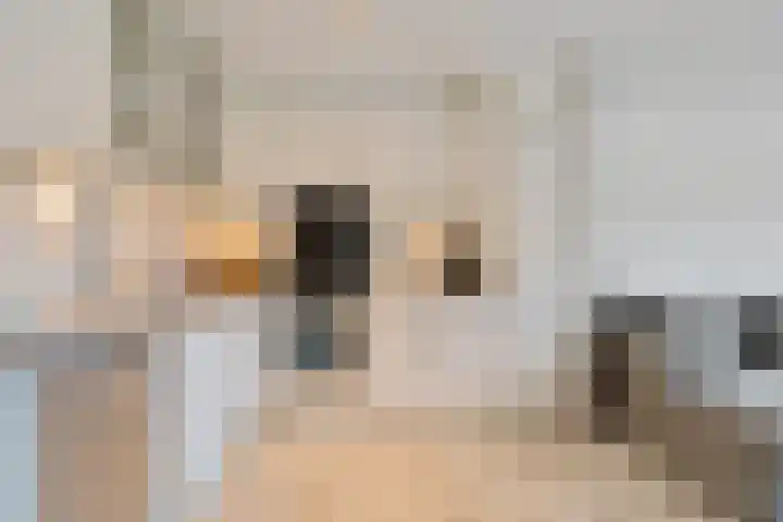 Bordeauxdreef 45 Rotterdam thumbnail 29