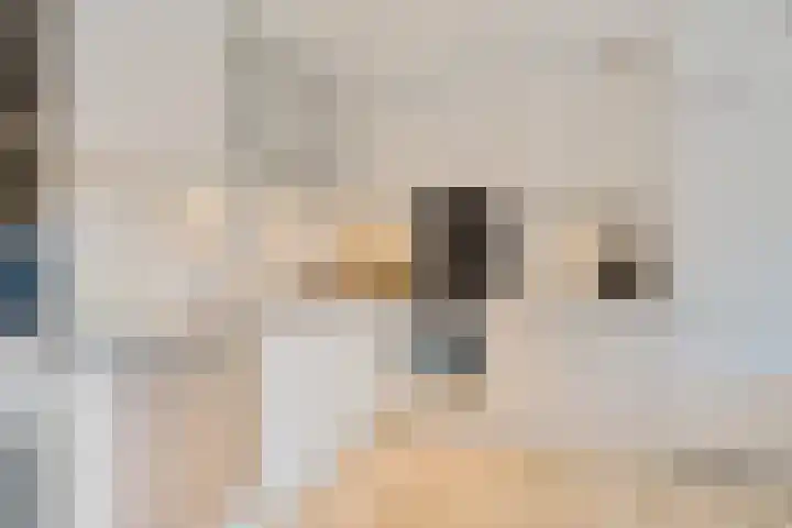 Bordeauxdreef 45 Rotterdam thumbnail 30