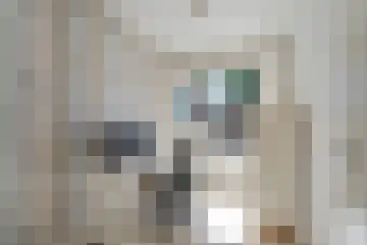 Bordeauxdreef 45 Rotterdam thumbnail 35