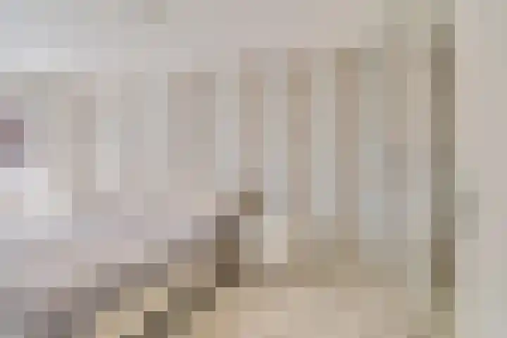Bordeauxdreef 45 Rotterdam thumbnail 39