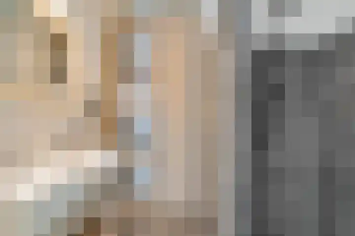 Bordeauxdreef 45 Rotterdam thumbnail 4