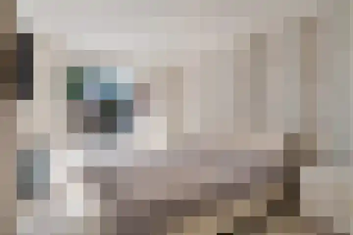 Bordeauxdreef 45 Rotterdam thumbnail 40