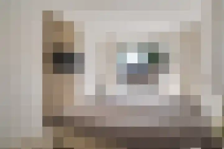 Bordeauxdreef 45 Rotterdam thumbnail 41