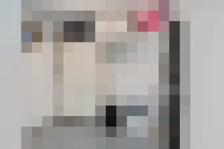 Bordeauxdreef 45 Rotterdam thumbnail 46
